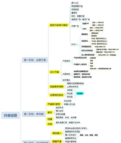 如何利用抖音巨量百应看数据（掌握数据分析技巧）